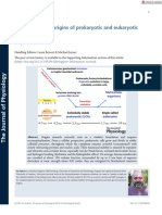 Physicochemical Origins of Prokaryotic and Eukaryotic Organisms