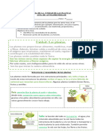 Ciencias - Retro - Guía-N°11 - 3° (1) RESUELTA GUIA