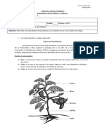 CIENCIAS Las Plantas