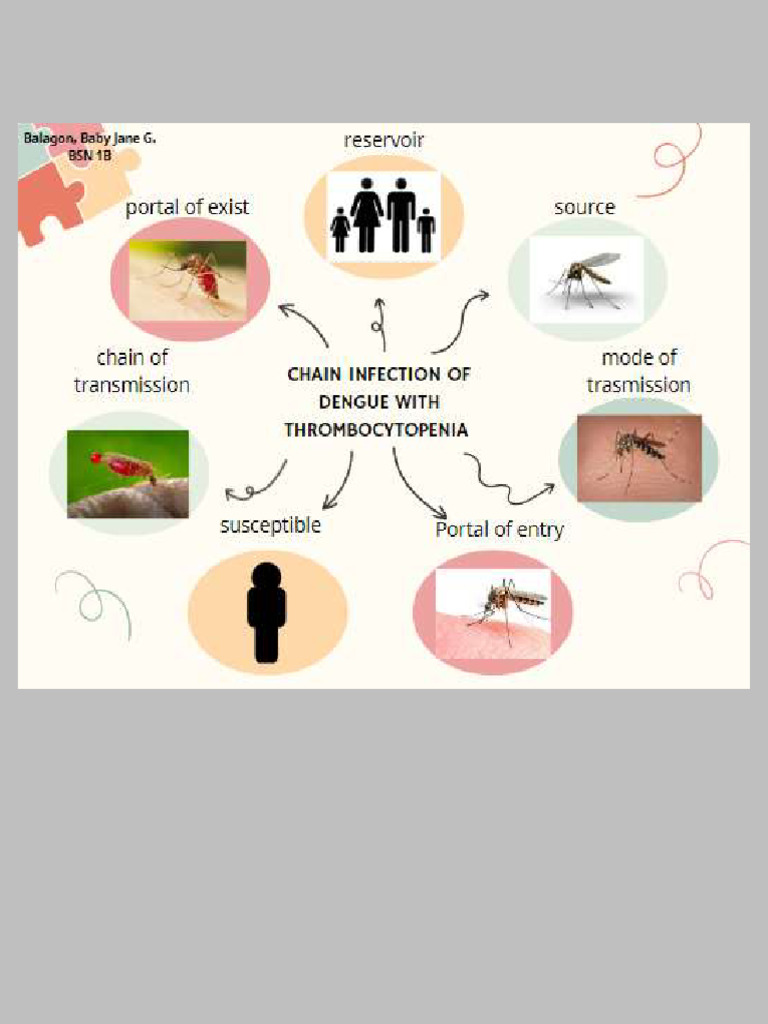 Schematic Diagram of The Chain Infection PDF