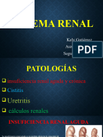 Sistema Renal Kelyyyyyyyyyyyyyyyyyyyyyy hdhdhdggdg-1