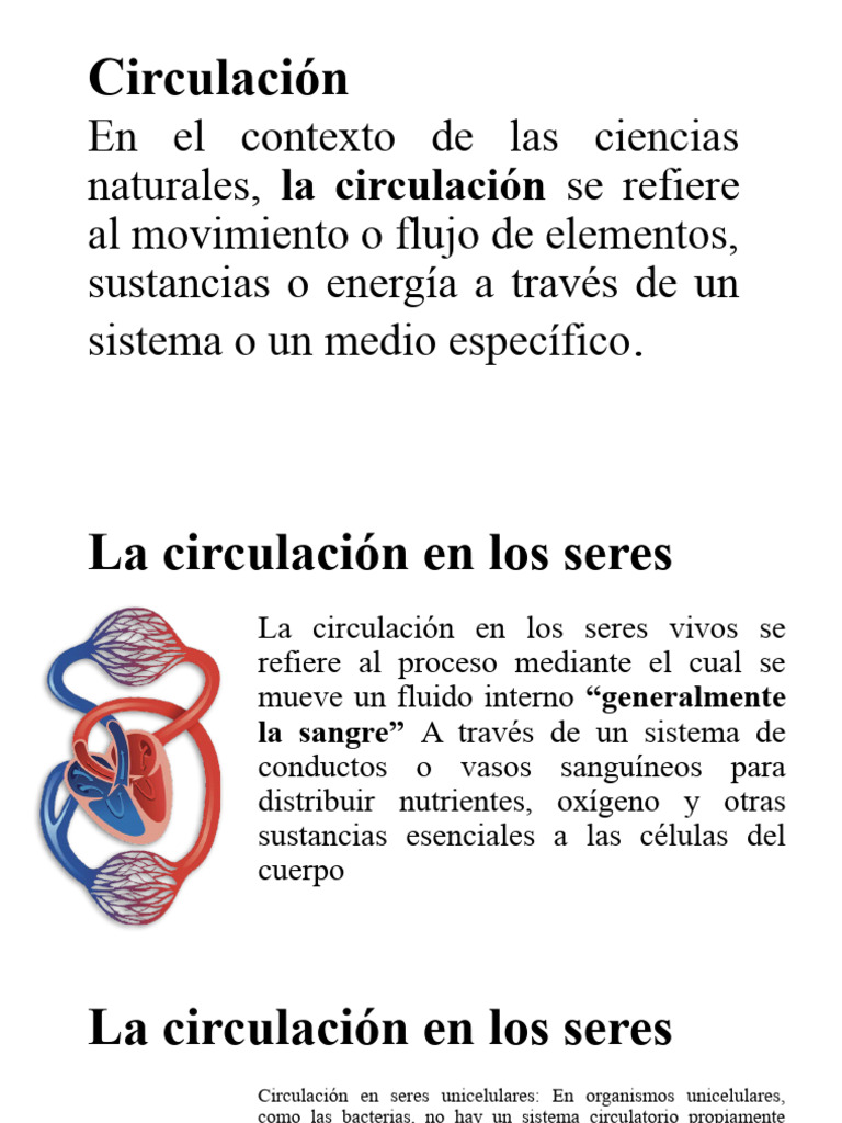 Circulación | PDF