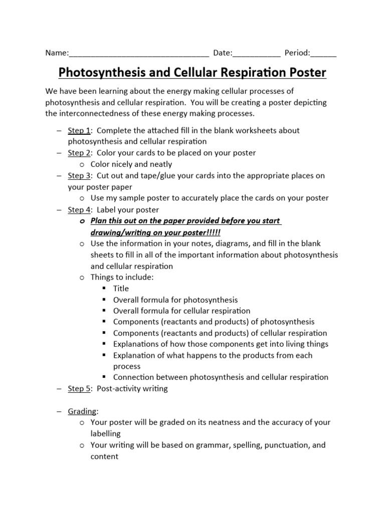 11 - Photosynthesis and Cellular Respiration Poster Project | PDF