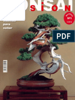 Pasion Bonsai 1