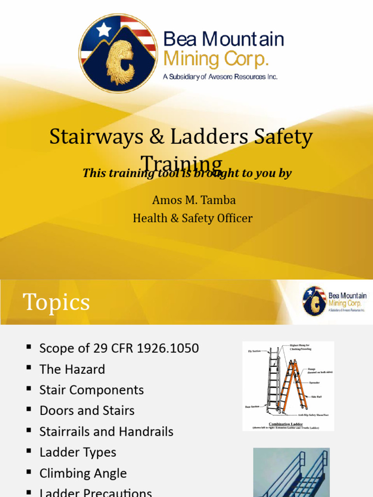 Ladders Training PDF