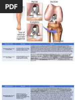ACL Protocol Fowler Kennedy R Mar 2009 | PDF | Human Leg | Knee