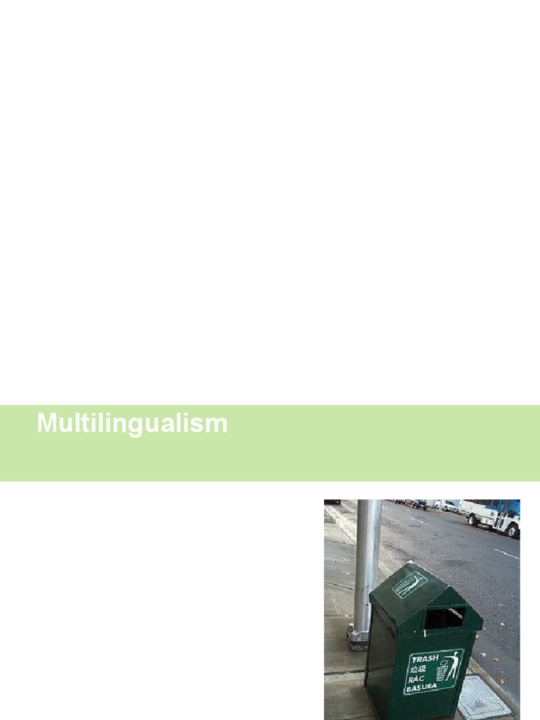 Understanding Multilingualism | PDF | First Language | Multilingualism