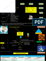 Continuar Aplicar Procedimiento de Ruta de La Calidad