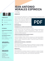 Morales Espinoza - Curriculum Vitae