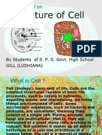 Structure of CELL GillB LDH