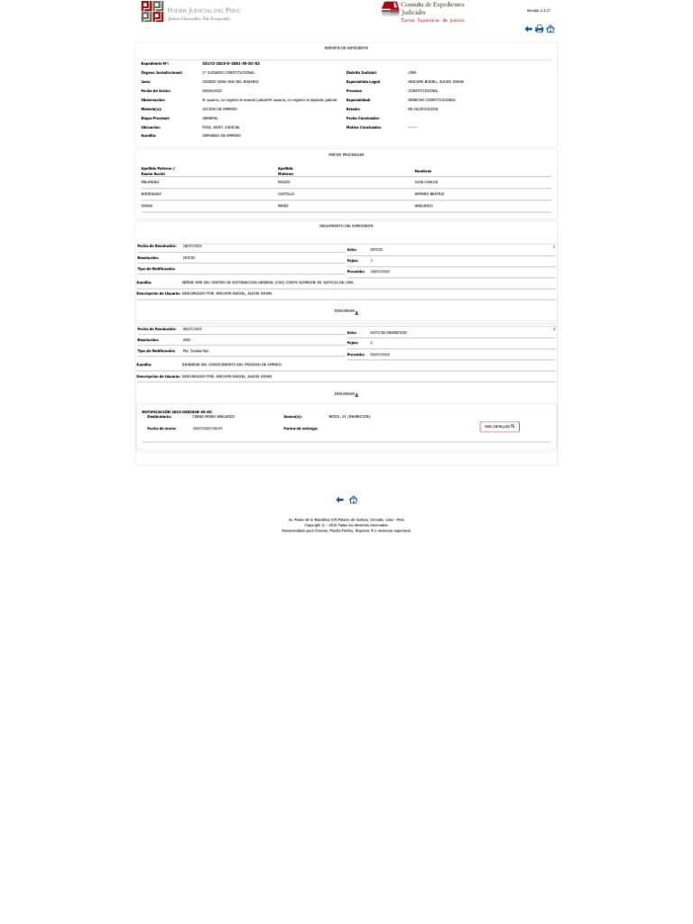 Consulta De Expedientes Judiciales Paraguay
