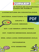 Universidad Popular Autonoma Del Estado de Puebla Licenciatura en Odontologia Materia: Anatomia Patologica