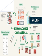 Mapa Mental La Importancia Del Reciclaje Simple Verde