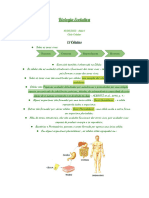 Biologia Evolutiva