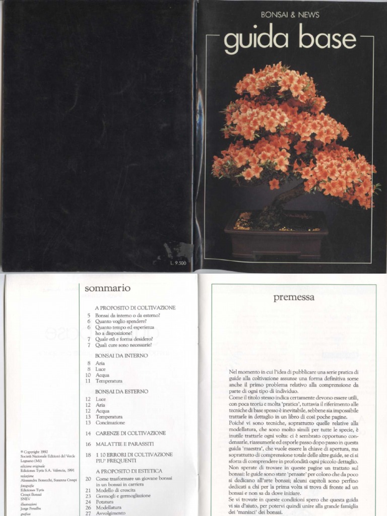 Bonsai Guida Base PDF