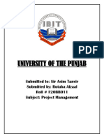 University of The Punjab