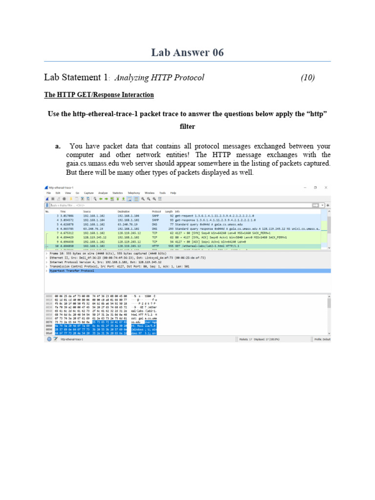 Computer networking lab pdf networking internet web