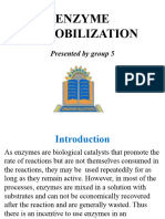Enzyme Immobilization '1