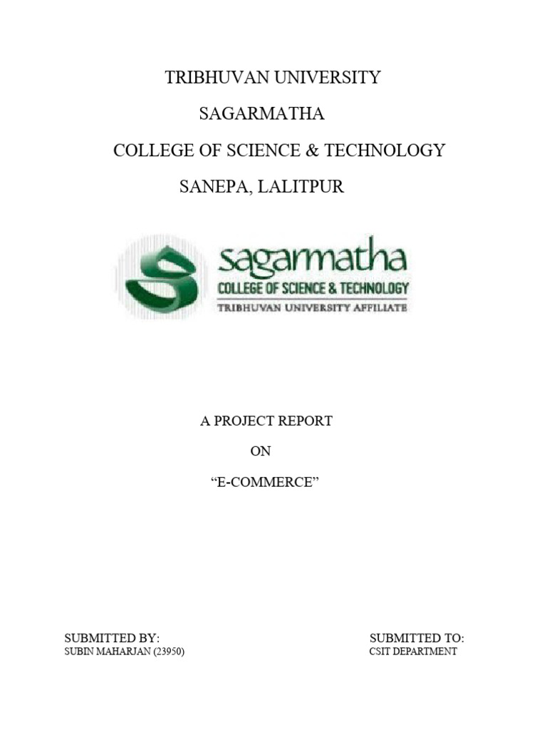 Ecommerce | PDF | Computers | Technology & Engineering