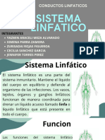 Sistema Linfático Anatomía