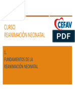 1 Fundamentos de La Reanimación Neonatal