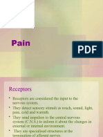 1 Pain PSL331