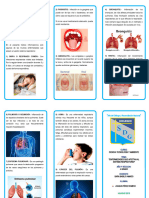 Sistema Respiratorio