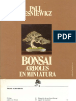 Bonsai, Arboles en Miniatura {Por El Cid Capeador}
