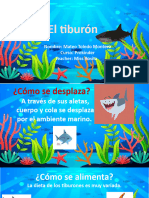 Presentación Mateo Toledo - El Tiburón