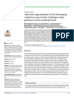 Molecular Regionalization of The Devoloping Amphioux Neural Tube Challenges Major Partitions of The Vertebrate Brain