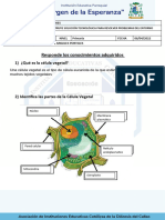 Ficha 06-04 6to Primaria