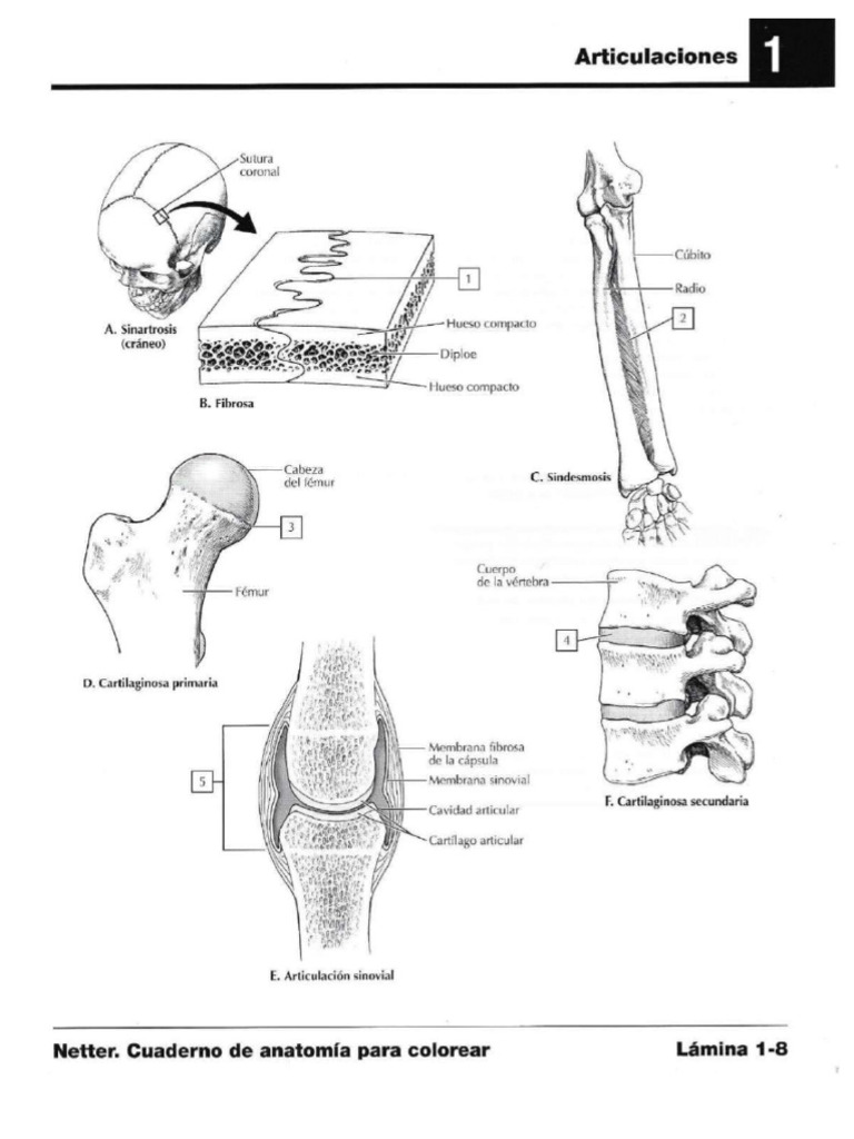 dibujos-lab-2-funcional-pdf