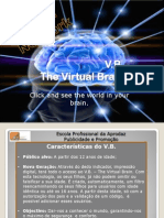 V.B. The Virtual Brain: Click and See The World in Your Brain