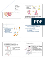 Hormones and Endocrine System