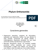 Phylum Orthonectida