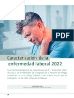 06 - Caracterización de La Enfermedad Laboral 2022