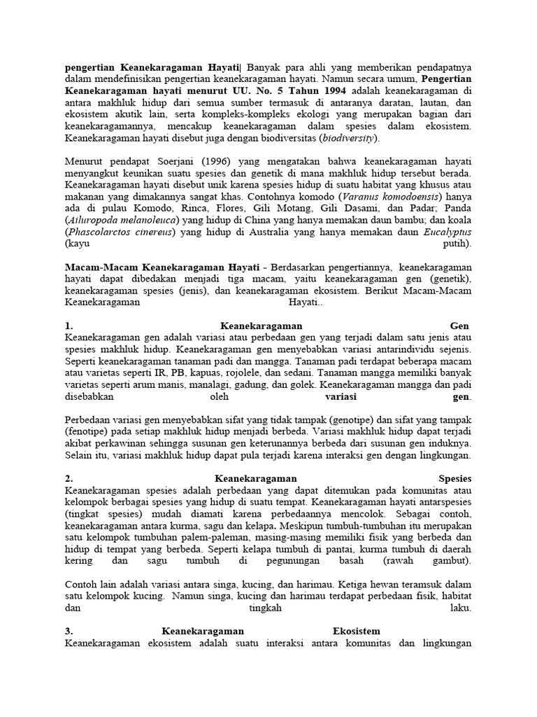 Hayati | PDF