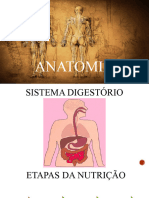 Anatomia Do Sistema Digestório - Grau Técnico