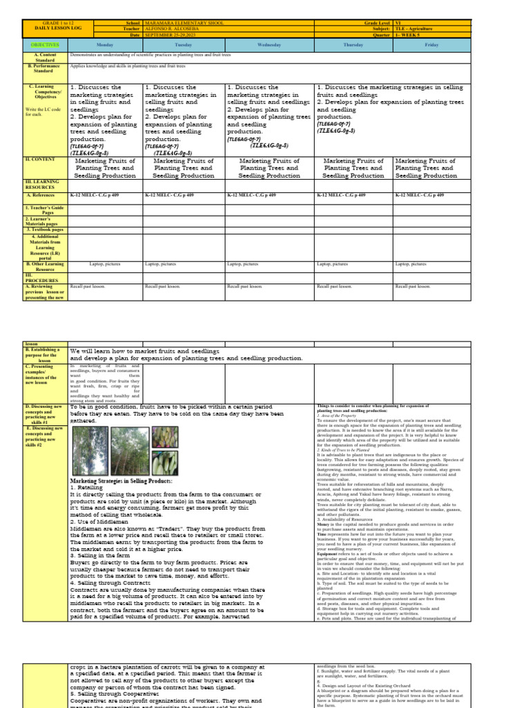 WEEK5 DLL TLE | PDF | Technology & Engineering