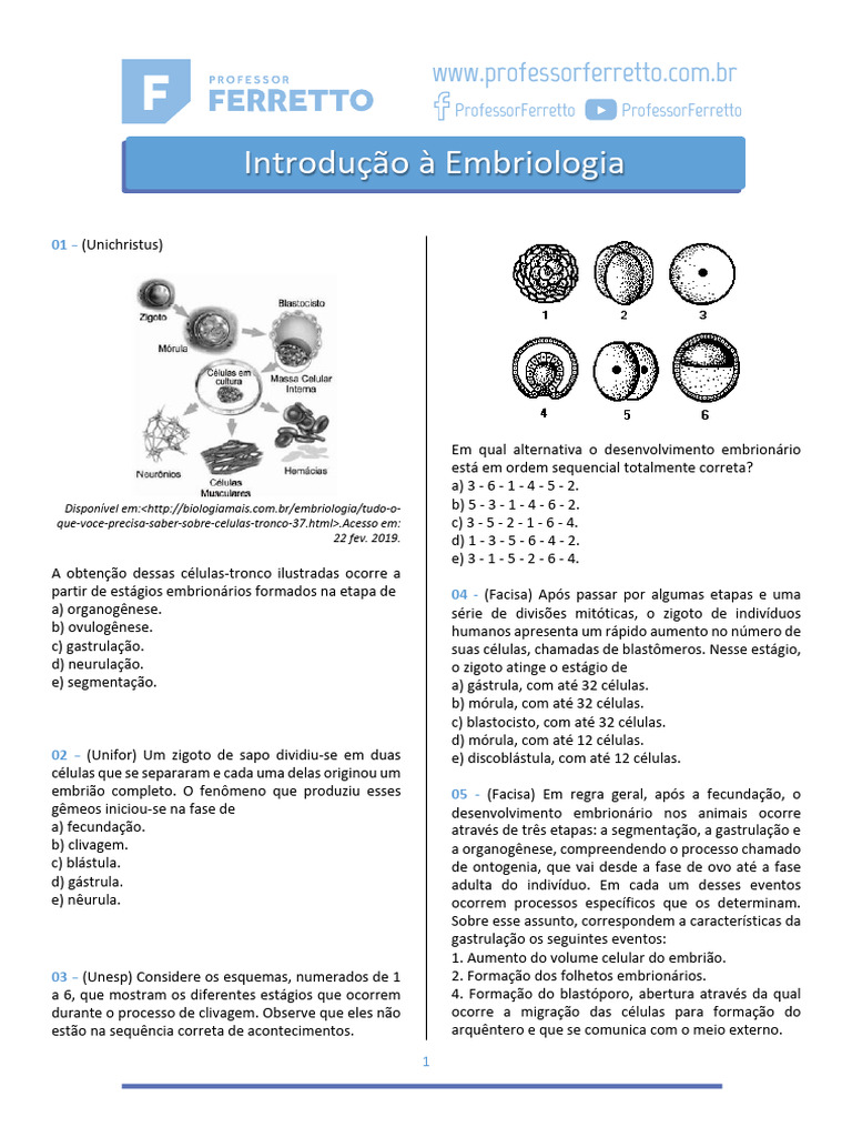 Questões - Introdução à Embriologia | PDF | Ovo | Gema