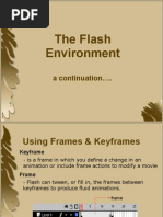 The Flash Environment 2