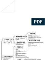 Mapa Conceptual de Tejidos