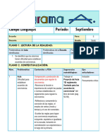 Programa Analítico-5