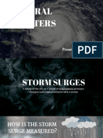 Natural Disasters g.2