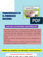 Enfoque Transversales