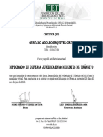 Certificado en Defensa Juridica en Accidentes-24