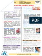 Teo 2 - Patologia Intestinal Peritoneo y Apendice