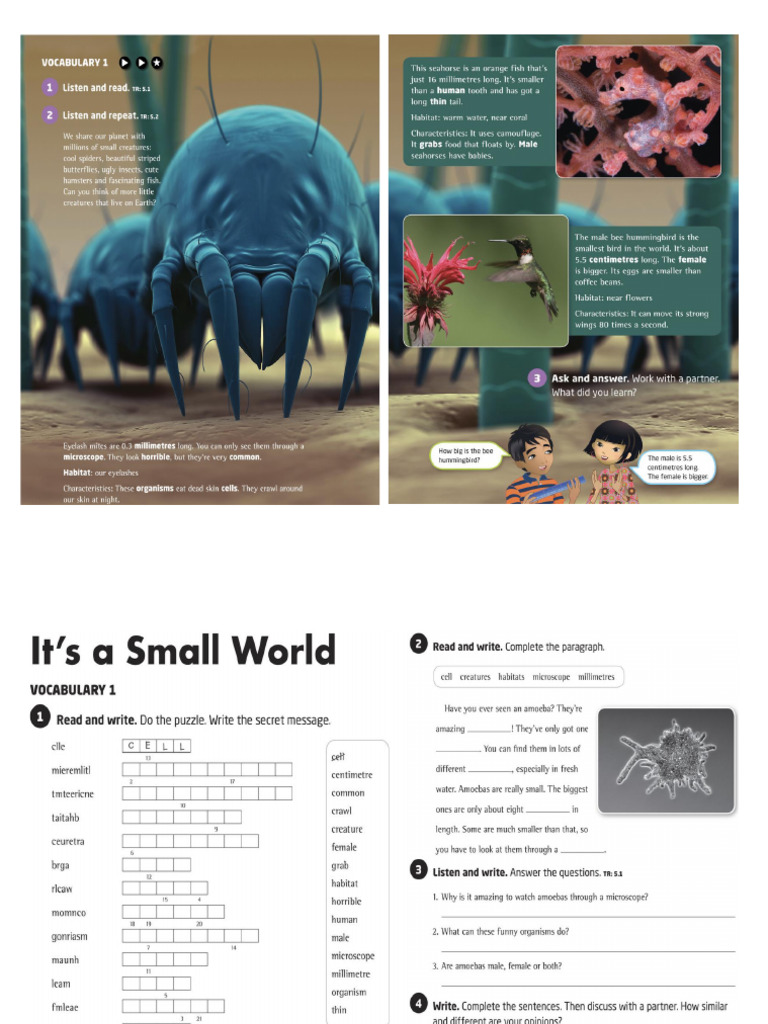 u6-session1-pdf