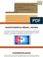 Insuficiencia Renal CyA ARZU