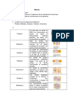 Meiosis y Practica